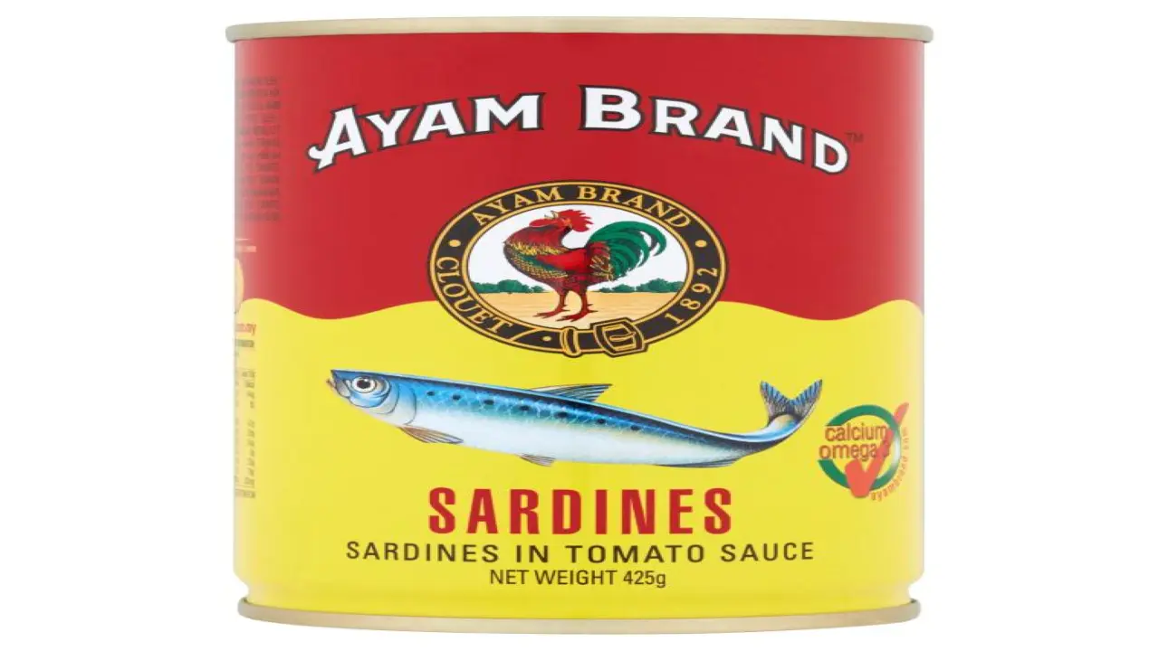 Canned Sardine Fish