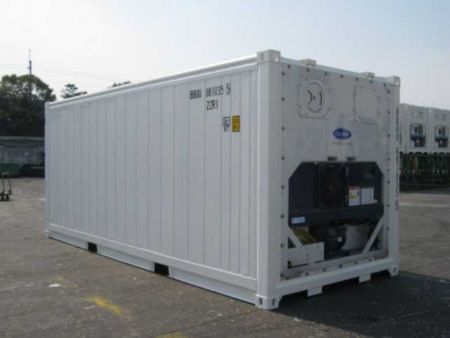  ISO Reefer Container